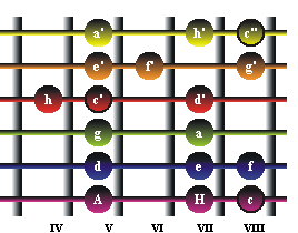 C-Dur Fingerboard IV Lage